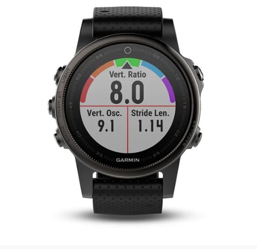 Garmin Fenix 5S Sapphire Glass Frost Blue